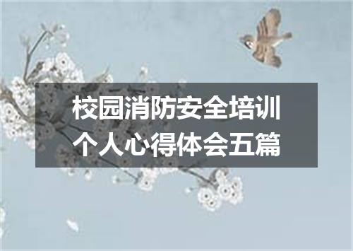 校园消防安全培训个人心得体会五篇