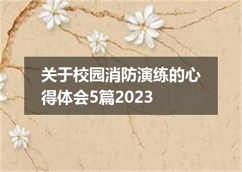 关于校园消防演练的心得体会5篇2023