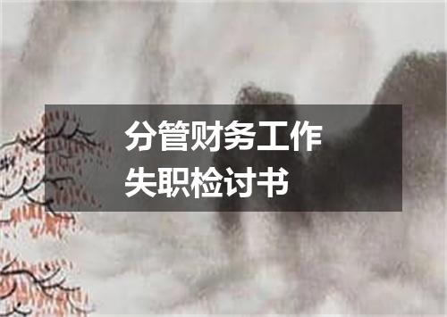 分管财务工作失职检讨书
