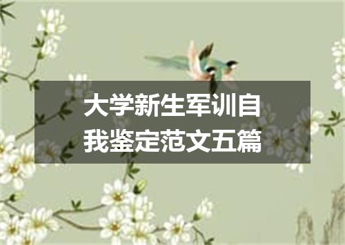 大学新生军训自我鉴定范文五篇