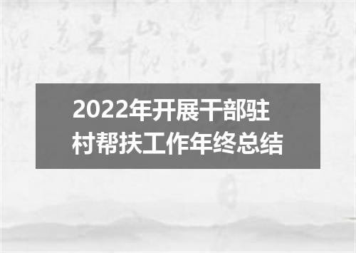 2022年开展干部驻村帮扶工作年终总结