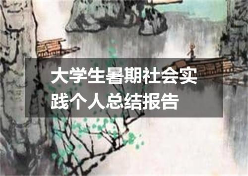 大学生暑期社会实践个人总结报告