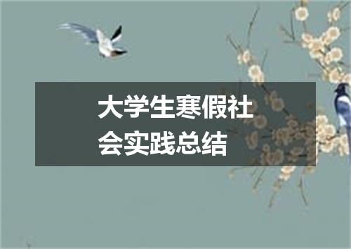 大学生寒假社会实践总结