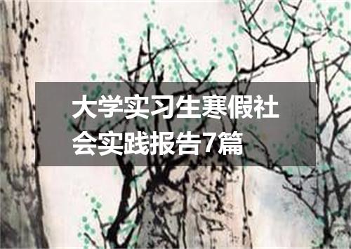 大学实习生寒假社会实践报告7篇