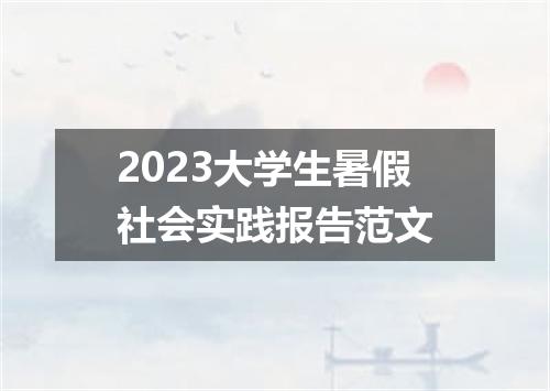 2023大学生暑假社会实践报告范文