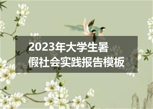 2023年大学生暑假社会实践报告模板
