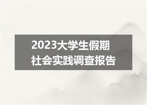 2023大学生假期社会实践调查报告