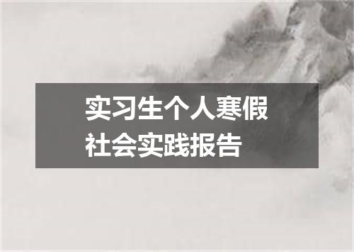 实习生个人寒假社会实践报告