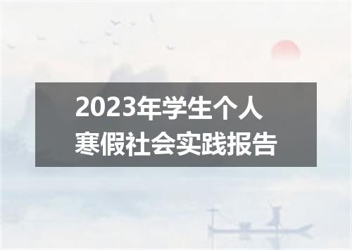 2023年学生个人寒假社会实践报告