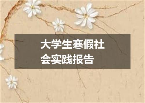 大学生寒假社会实践报告