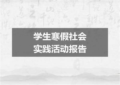 学生寒假社会实践活动报告