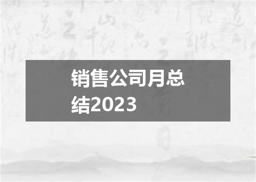 销售公司月总结2023