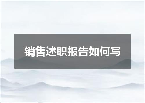 销售述职报告如何写