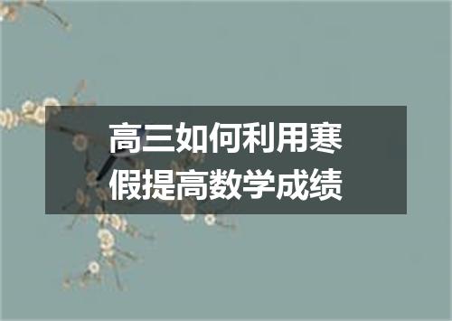 高三如何利用寒假提高数学成绩