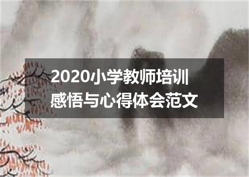 2020小学教师培训感悟与心得体会范文