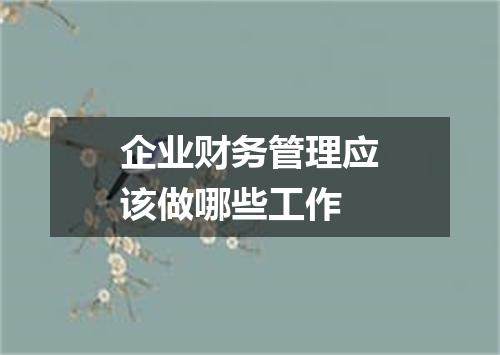 企业财务管理应该做哪些工作