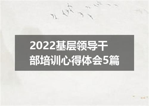 2022基层领导干部培训心得体会5篇