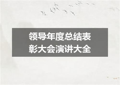 领导年度总结表彰大会演讲大全