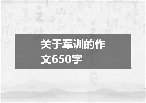 关于军训的作文650字