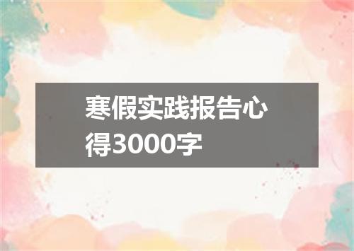 寒假实践报告心得3000字