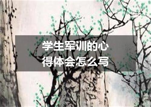 学生军训的心得体会怎么写