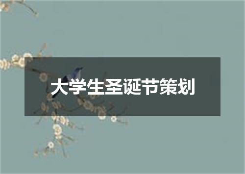 大学生圣诞节策划