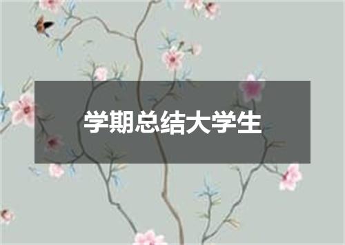 学期总结大学生