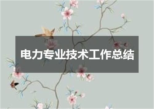 电力专业技术工作总结
