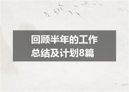 回顾半年的工作总结及计划8篇