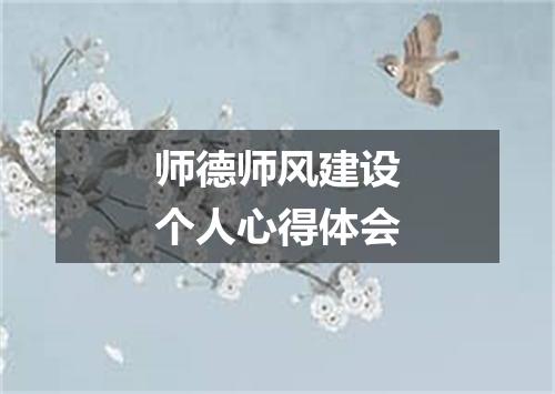 师德师风建设个人心得体会