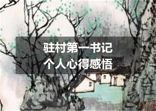 驻村第一书记个人心得感悟