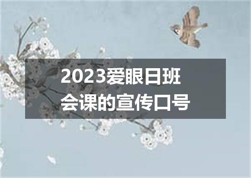2023爱眼日班会课的宣传口号
