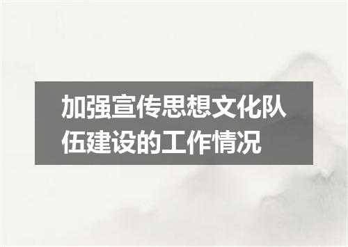 加强宣传思想文化队伍建设的工作情况