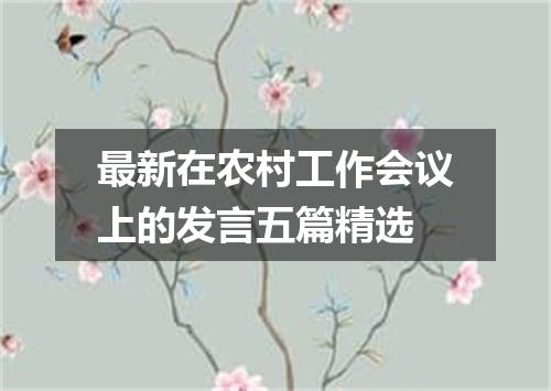 最新在农村工作会议上的发言五篇精选