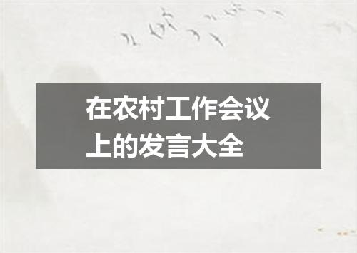 在农村工作会议上的发言大全
