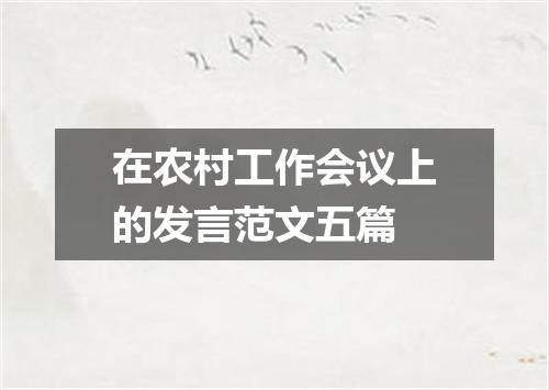 在农村工作会议上的发言范文五篇