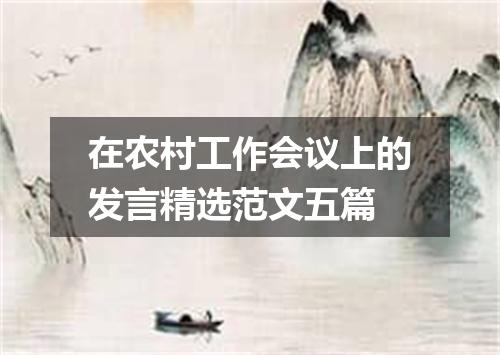 在农村工作会议上的发言精选范文五篇