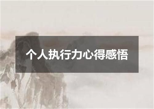 个人执行力心得感悟