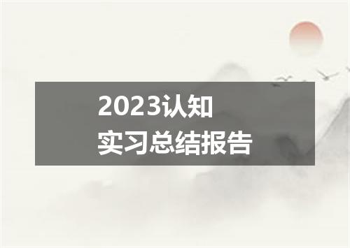 2023认知实习总结报告