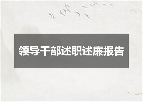 领导干部述职述廉报告