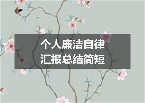 个人廉洁自律汇报总结简短