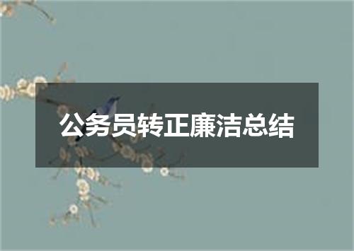 公务员转正廉洁总结