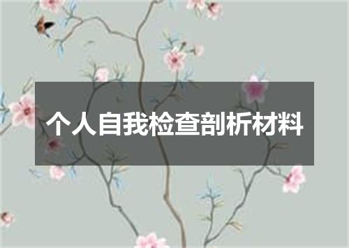 个人自我检查剖析材料