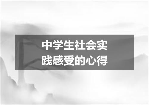 中学生社会实践感受的心得