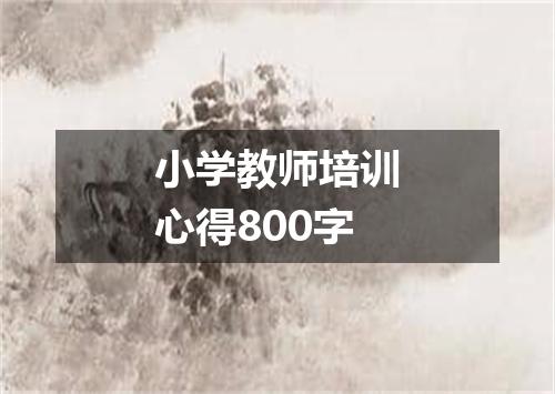 小学教师培训心得800字