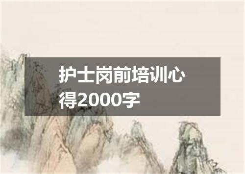 护士岗前培训心得2000字