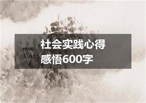 社会实践心得感悟600字