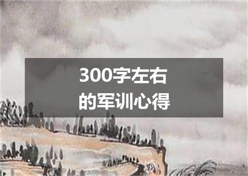 300字左右的军训心得