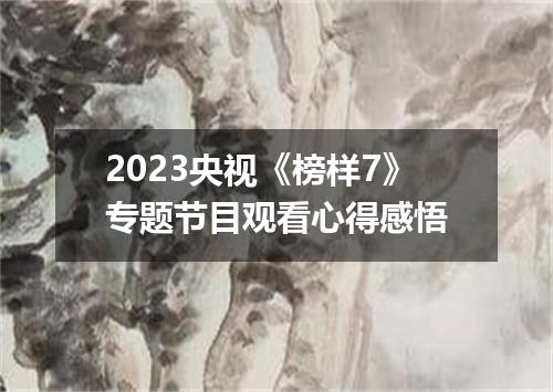 2023央视《榜样7》专题节目观看心得感悟