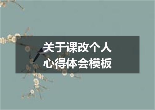 关于课改个人心得体会模板